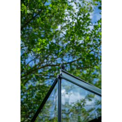 HALLS szklarnia ogrodowa ICON PLANTHOUSE 8 (9,7 m2; 2,55 x 3,79 m) czarna, szkło hartowane + baza